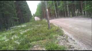 Ford Escort RS1600 BDA in middle Finland forest 2012 INCREDIBLE SOUND [upl. by Eniarral]