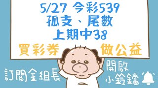 【 金組長539】5月27日｜孤支、尾數｜今彩539｜539開獎｜539版路 [upl. by Ardnuahc]