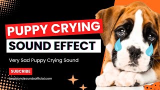 Puppy Crying Sound Effect  Beats and Sounds Official [upl. by Hannahs794]