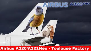 AIRBUS A320321NEO Compilation Airbus Toulouse Factory amp Flight test 2024 [upl. by Ezequiel]