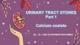 Calcium oxalate  حصوات الجهاز البولي في القطط و الكلاب الجزء الاول [upl. by Asatan]