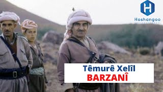 Temure Xelil  Barzani Mêrê Mêrxas [upl. by Silyhp]