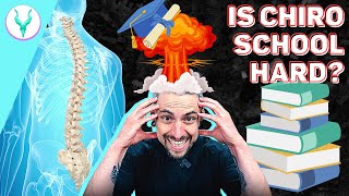 HOW DIFFICULT IS CHIROPRACTIC SCHOOL [upl. by Joshuah]