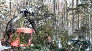 Modern timber harvest land clearing [upl. by Christmas]