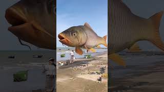 Viral Fish VFX Short 💯  vfx [upl. by Gentilis]