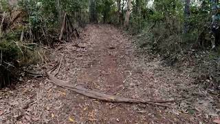 Mt Nebo Break part 1 of 2 parts DAguilar National Park [upl. by Caralie350]