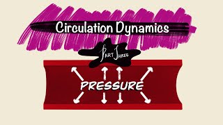 Circulation Dynamics  Part 3  Pressure  Hemodynamics  Cardiac Physiology [upl. by Armahs304]