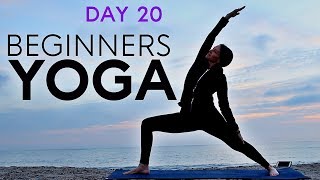 Beginners Yoga Flow 20 min Total Body Workout Day 20  Fightmaster Yoga Videos [upl. by Nylrats173]