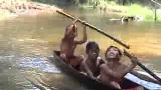 OYOOQ Lagu pop Dayak Kalimantan Timur [upl. by Llenad]