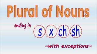 Mastering Plurals Nouns Ending in S X CH and SH  Rule and Exceptions [upl. by Atinob]