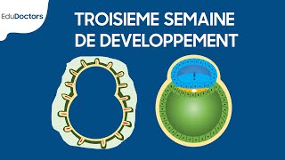 Troisième semaine de développement  Embryologie générale [upl. by Eanaj]