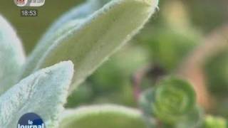 Chaumont prône la biodiversité heureuse [upl. by Leind]