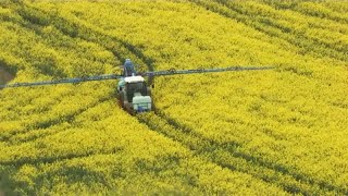 Frankreich setzt weiter Glyphosat ein und entschädigt ParkinsonBauern [upl. by Linn]