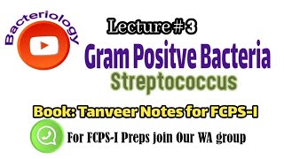 Bacteriology Lecture 3 Streptococci only for FCPS 1 [upl. by Marella]