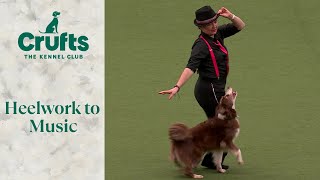 Heelwork To Music Part 2  Crufts 2024 [upl. by Eberhard]