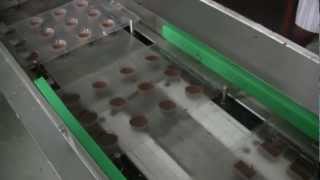 Semi Automatic Chocolate Moulding Machine depositing chocolate in moulds [upl. by Ihsar584]