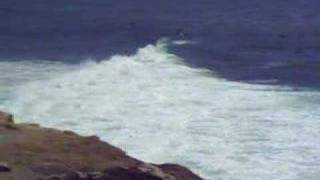 Surfing at Steamer Lane Santa Cruz CA [upl. by Leirua]