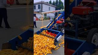 Doublecylinder corn thresher with rotating elevator large corn thresher quotnew corn thresherquot [upl. by Quinlan]