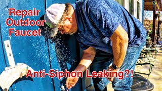 Outdoor Faucet Repair  Leaking AntiSiphon  Vacuum Breaker [upl. by Isleen]