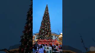 Disneyland Park Christmas Tree Lighting disney disneyland disneyparks disneycaliforniaadventure [upl. by Aynat]