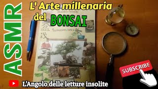 ASMR  Bonsai unarte orientale millenaria [upl. by Spatola]