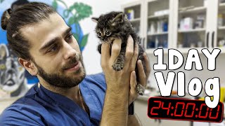 YAVRU KEDİ SALDIRISI 😍  Klinikte 1 Gün VLOG [upl. by Eed]