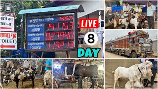 Deonar bakra mandi DAY 8 latest update bakre saste hona shuru [upl. by Isbella776]