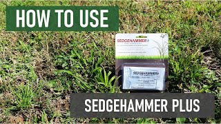 How to Use Sedgehammer Plus Get Rid of Nutsedges Fast [upl. by Nickelsen]