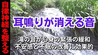 【耳鳴り治療音】耳鳴りキーンを軽減する音 不眠 不安感 No 2 [upl. by Retsam]