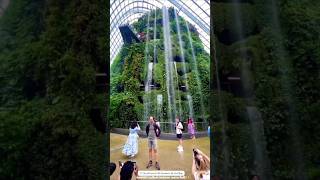 Garden By The Bay Singapore youtubeshorts trend [upl. by Elmer]