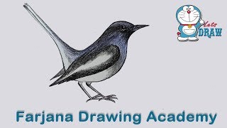 How to draw Magpie step by step very easy [upl. by Manas]