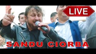 Sandu Ciorba  Jocuri tiganesti  Live Pitulari [upl. by Myo]