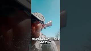 Elephant hunt 2024 season daringtrailsadventures hunting ngamiland [upl. by Aietal]