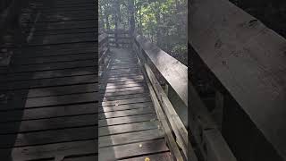 BearTown State Park West Virginia Boardwalk WV [upl. by Yzmar887]