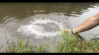 DIY Pond Aeration Improve Your Pond Water Quality plus quotBig Maxquot vs Hiblow aerators [upl. by Buseck]