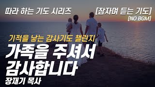 따라하는 기도시리즈 감사8 가족을 주신 하나님께 감사 기도 잠자며 듣는 기도  장재기 목사  감사기도를 댓글란에 적어주세요 NO BGM [upl. by Alael520]