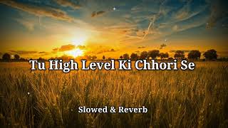 Tu High Level Ki Chhori se Slowed amp reverb lofi version Download link in Description ↓ [upl. by Glennon]