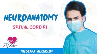 Neuroanatomy  Spinal cord  Part1 [upl. by Dang]