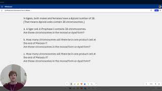 Practice Problem involving the concepts of meiosis cell ploidy and chromosome forms [upl. by Lehcim]