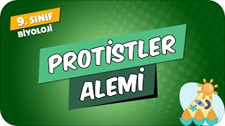 Protistler Alemi  9Sınıf Biyoloji 2024 [upl. by Christabel767]