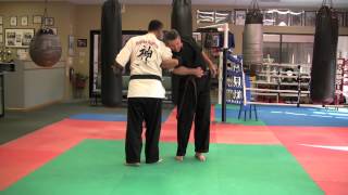 Hapkido Disarm Gunman  Combat Self Defense [upl. by Rengia]