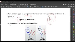 L29 Glycoproteins amp Proteoglycans [upl. by Brandtr]