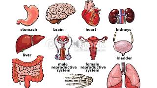 علم الفطريات الطبيةالمحاضرة السابعه الجزء الاول Systemic Mycoses أناهض عبد اللطيف [upl. by Anohs]