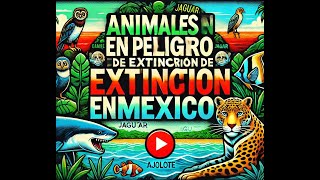 Algunos animales en peligro de extincion en mexico [upl. by Ahsyek]