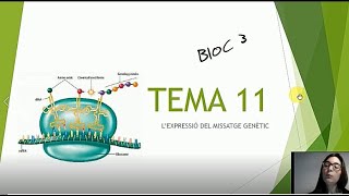 TEMA 11 Lexpressió del missatge genètic [upl. by Aicissej]