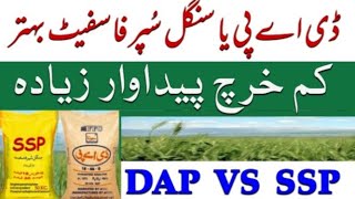 DAP vs Single Super Phosphate Which fertilizer for cheap and standard wheat crop [upl. by Anirehs603]