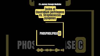 Medical Music Toxins of Clostridium perfringens vs Streptococcus pyogenes [upl. by Kristien]