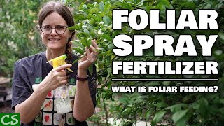 Foliar Spray Fertilizer  What is Foliar Feeding [upl. by Circosta449]