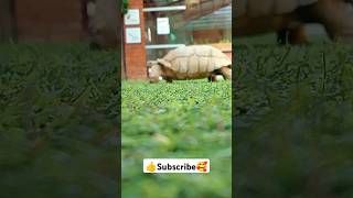 Bird Park New videos dekhne ke liye subscribe to my channel 🥰 [upl. by Nayrbo]