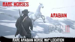 Arabian Horse Spawn Location on Map  Red Dead Redemption II  Rare Elite Horses [upl. by Ramyaj]